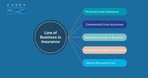 understanding insurance lines of business